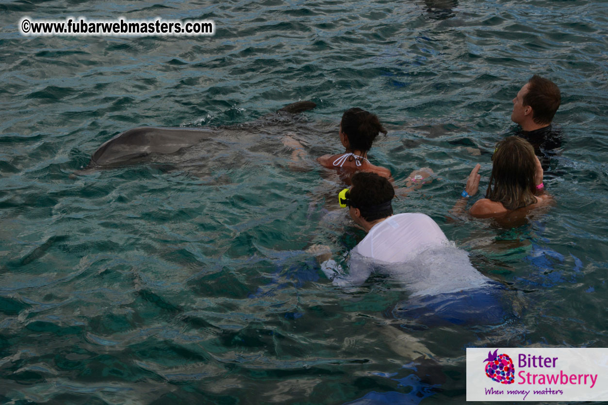 WireCard Dolphin Swim