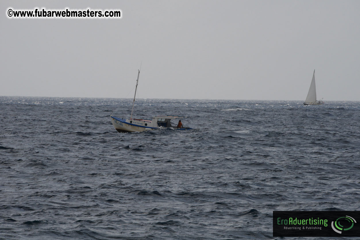 WireCard Dolphin Swim