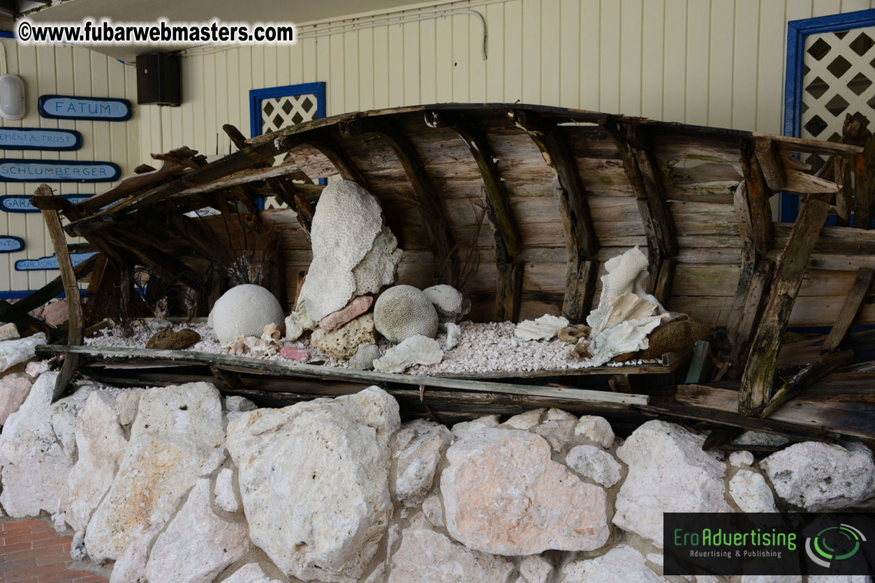 WireCard Dolphin Swim