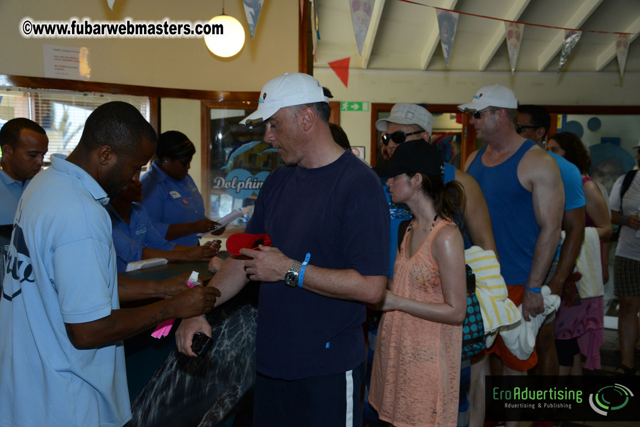 PussyCash Dolphin Swim 