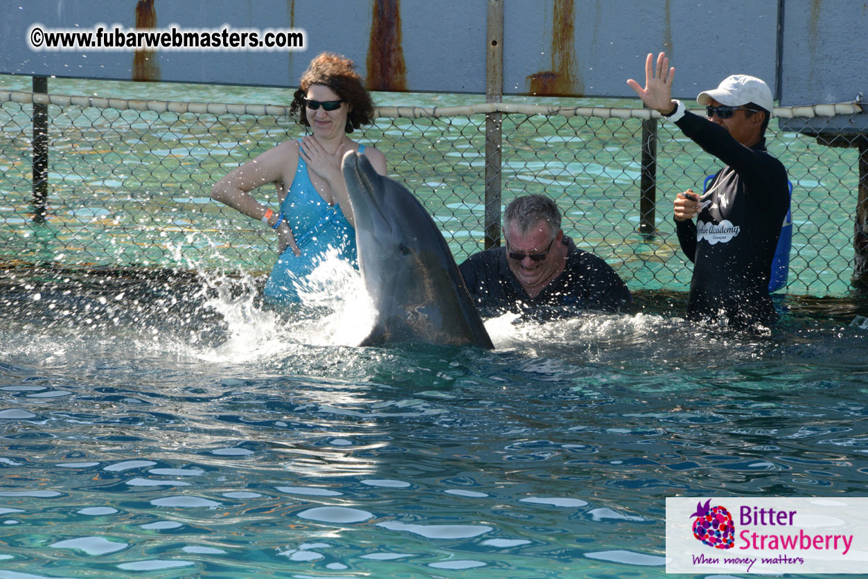 PussyCash Dolphin Swim 