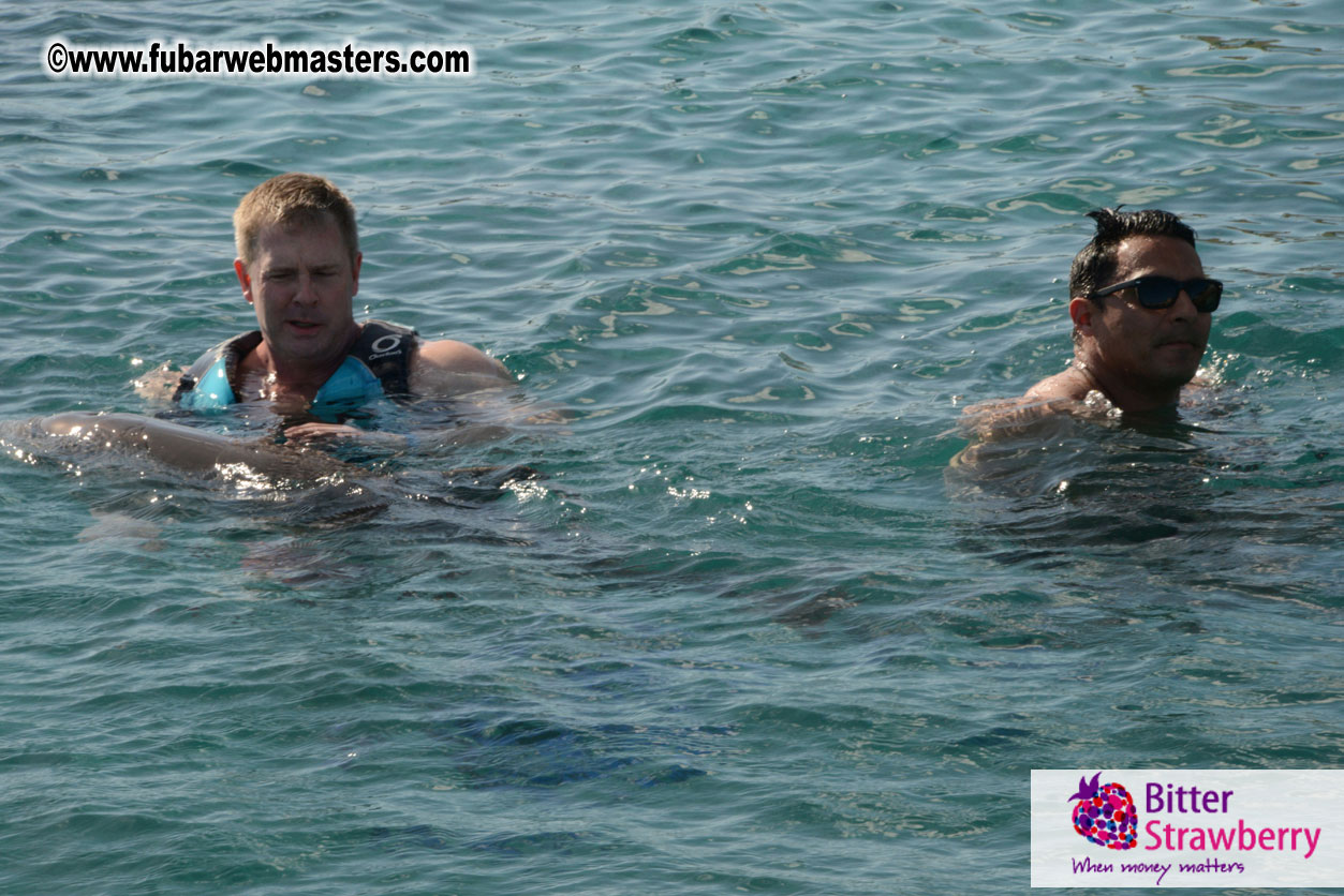 PussyCash Dolphin Swim 