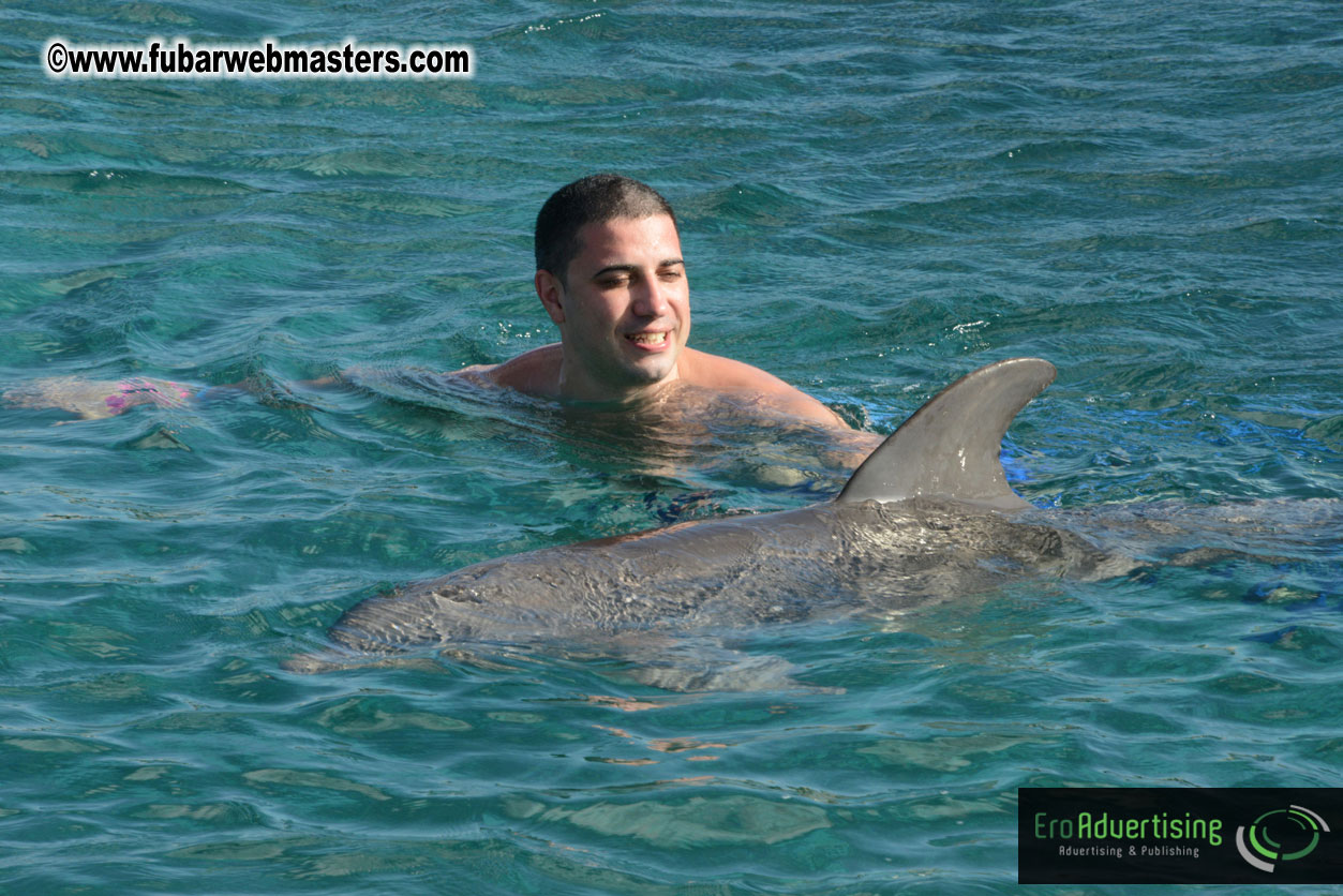 PussyCash Dolphin Swim 