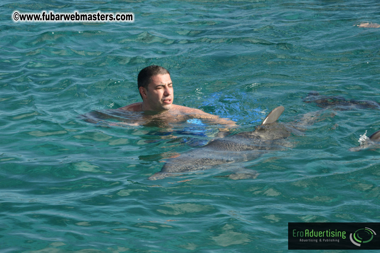 PussyCash Dolphin Swim 