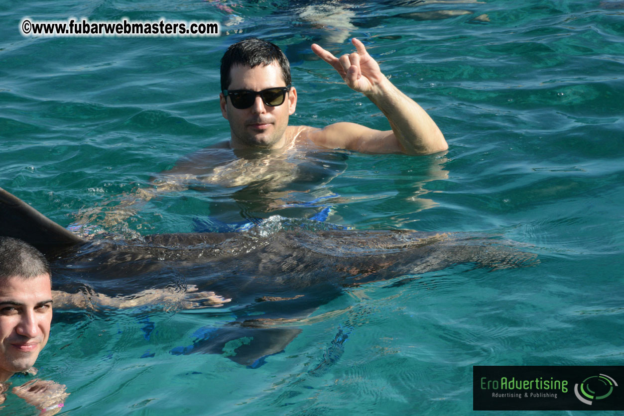 PussyCash Dolphin Swim 