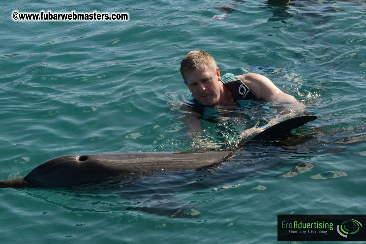 PussyCash Dolphin Swim 