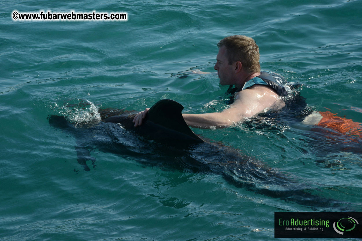 PussyCash Dolphin Swim 