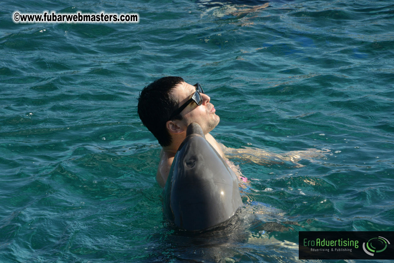 PussyCash Dolphin Swim 