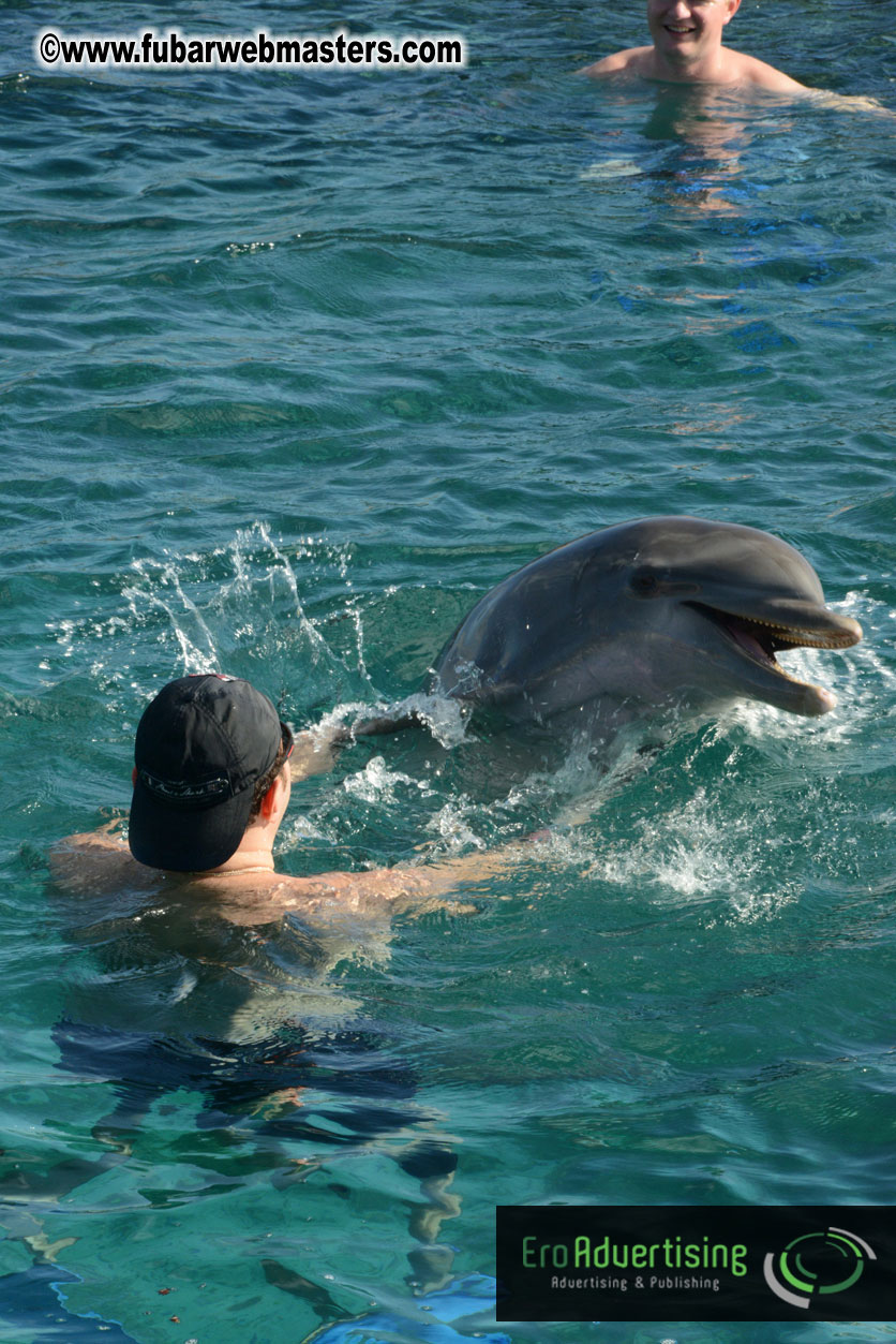 PussyCash Dolphin Swim 