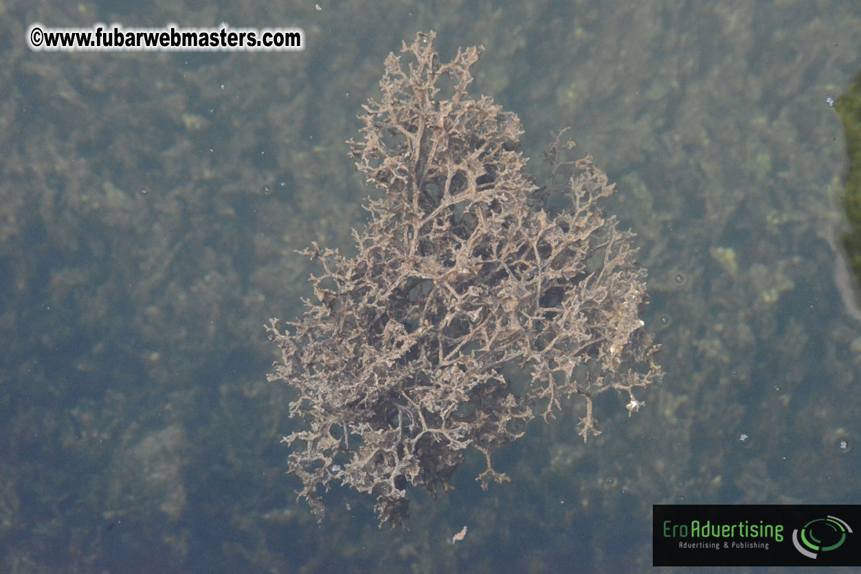 Sailing and Snorkeling Adventure