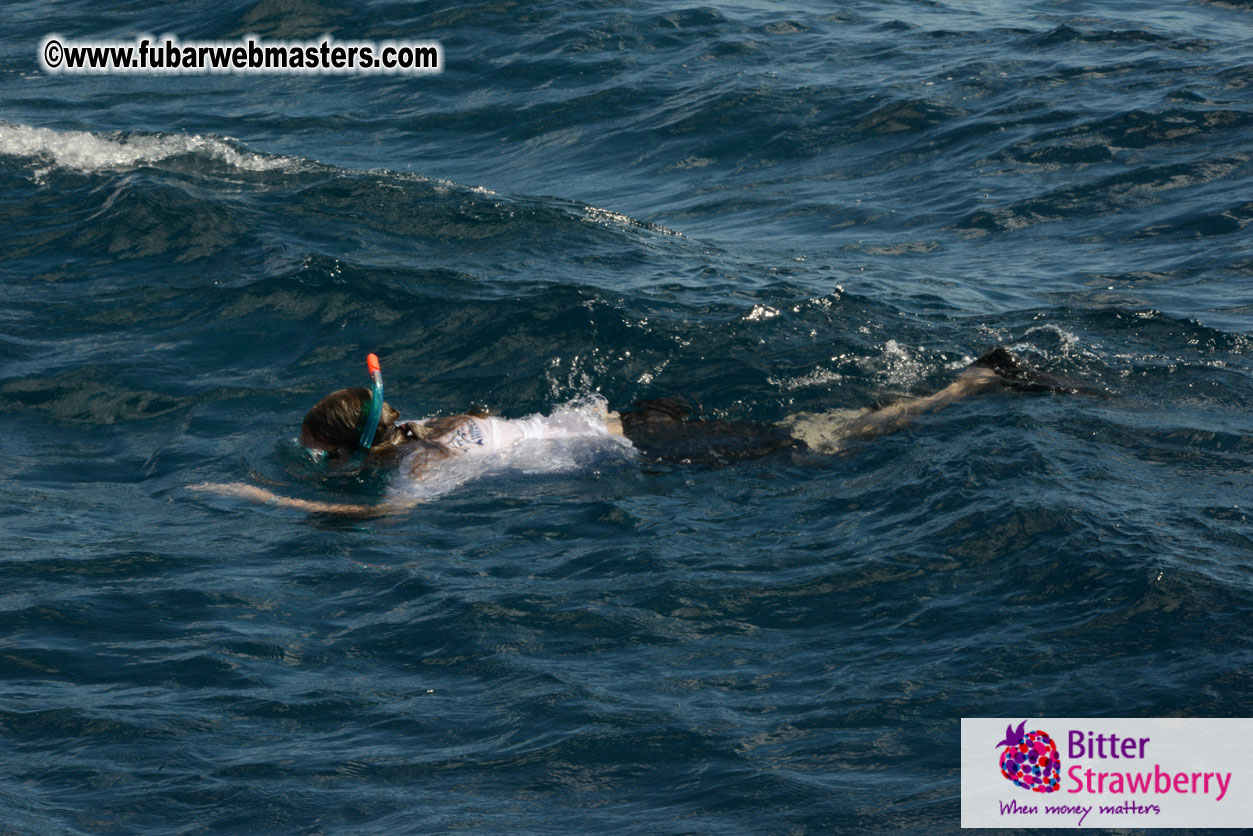 Sailing and Snorkeling Adventure