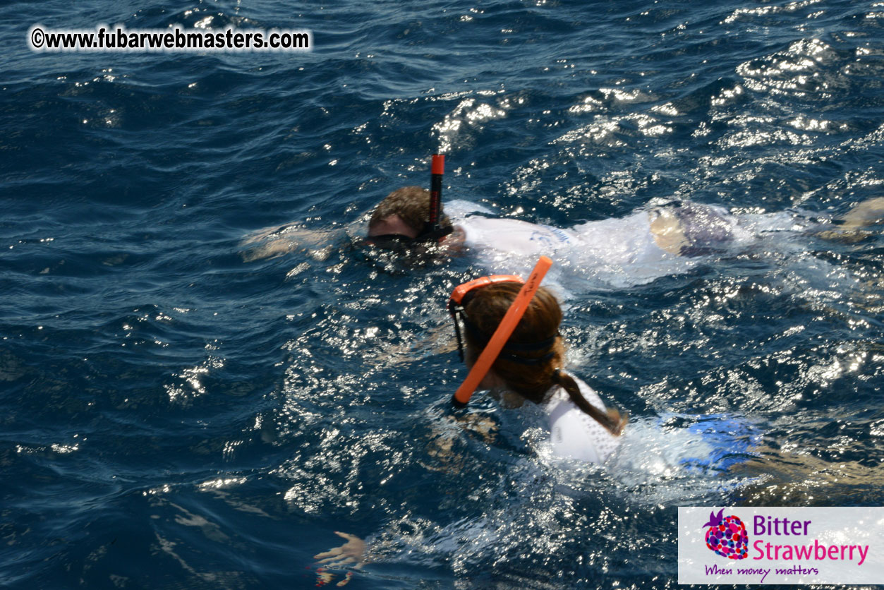 Sailing and Snorkeling Adventure