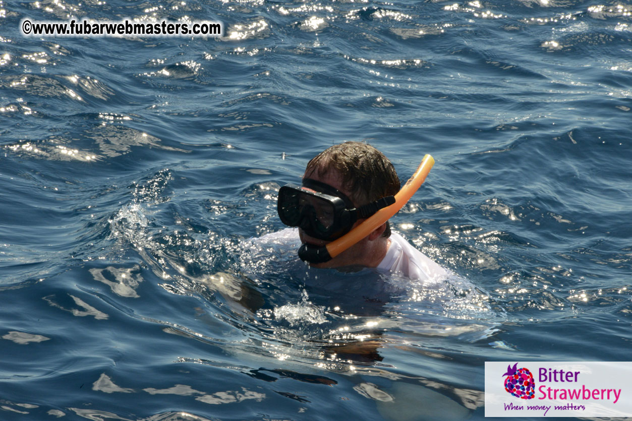 Sailing and Snorkeling Adventure