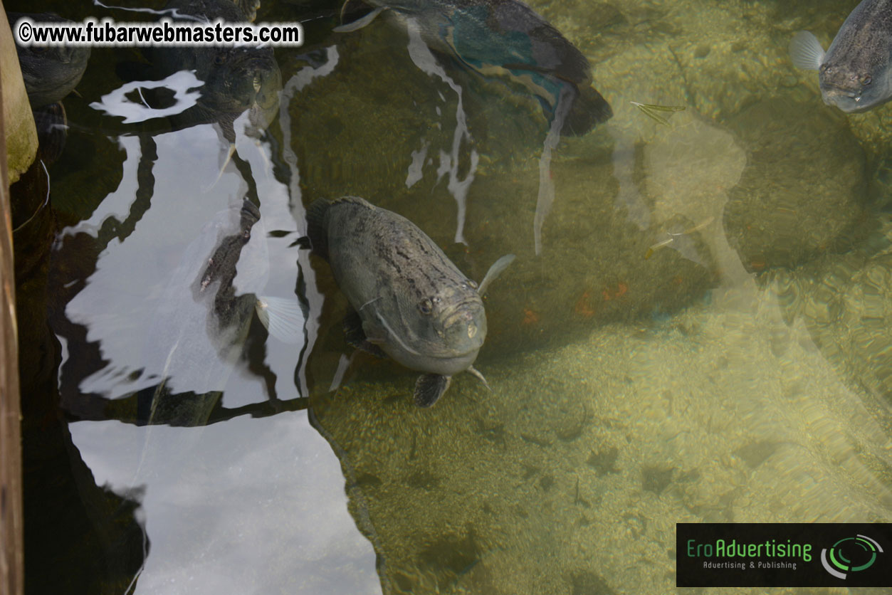 Sailing and Snorkeling Adventure