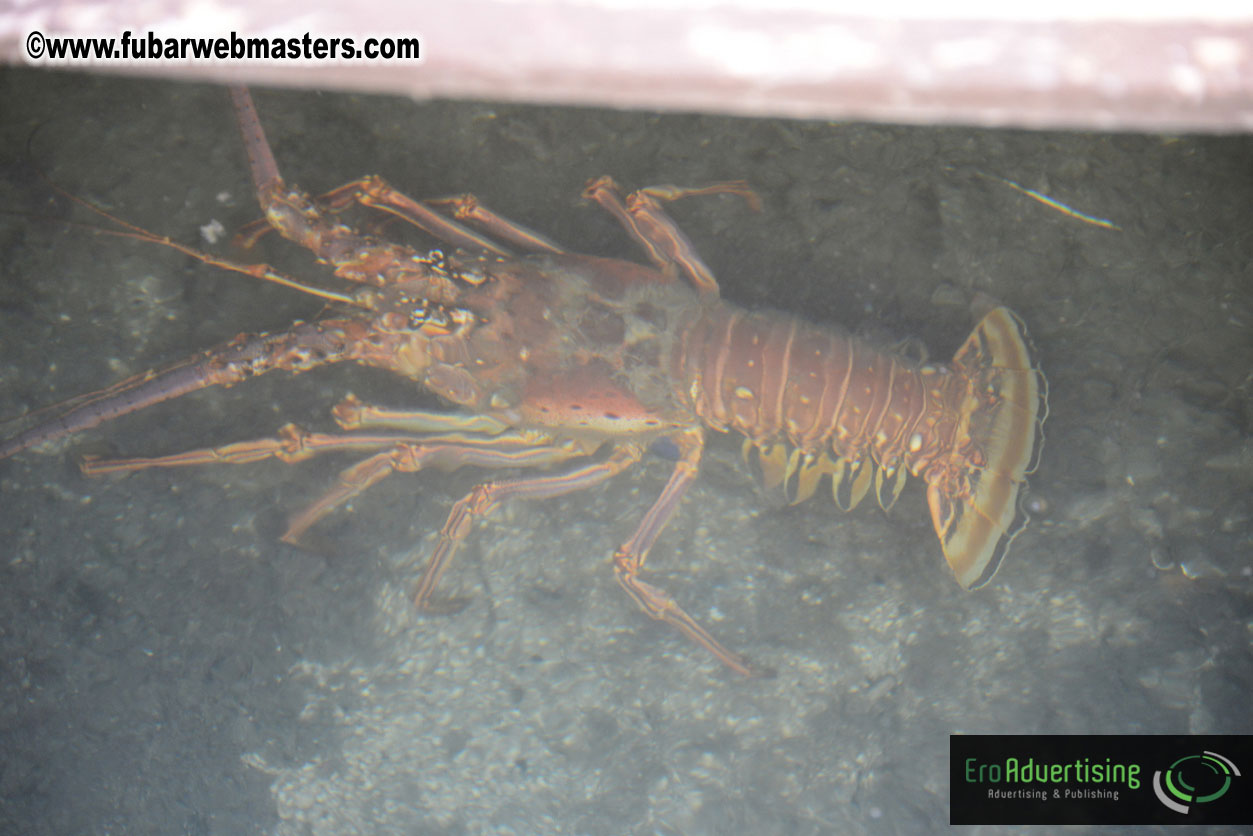 Sailing and Snorkeling Adventure