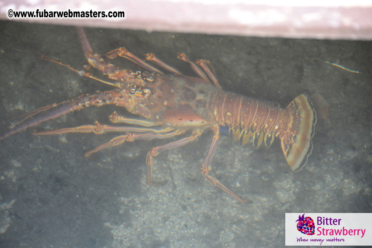 Sailing and Snorkeling Adventure