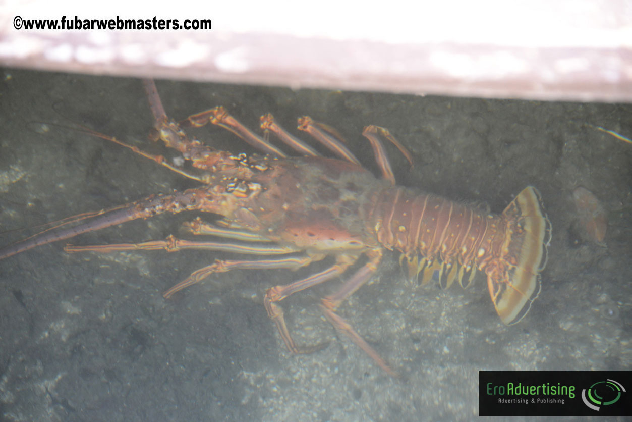 Sailing and Snorkeling Adventure