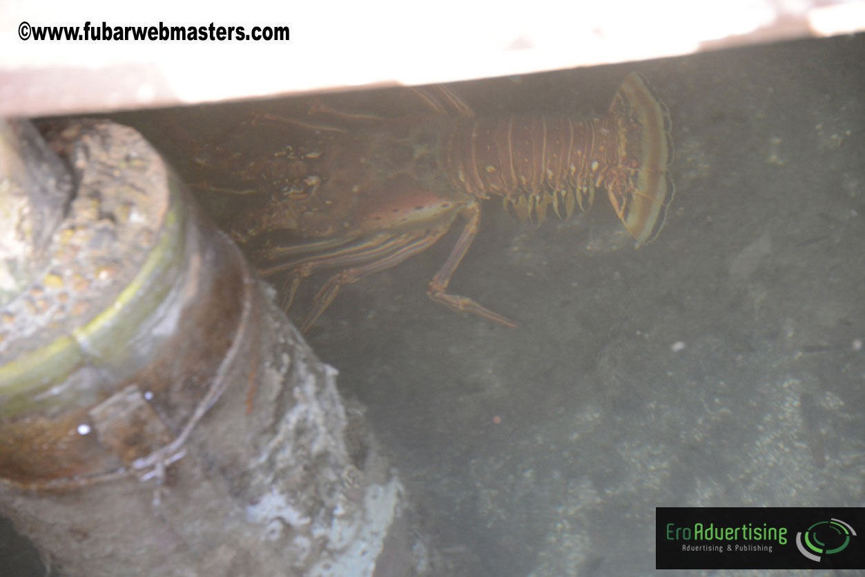 Sailing and Snorkeling Adventure