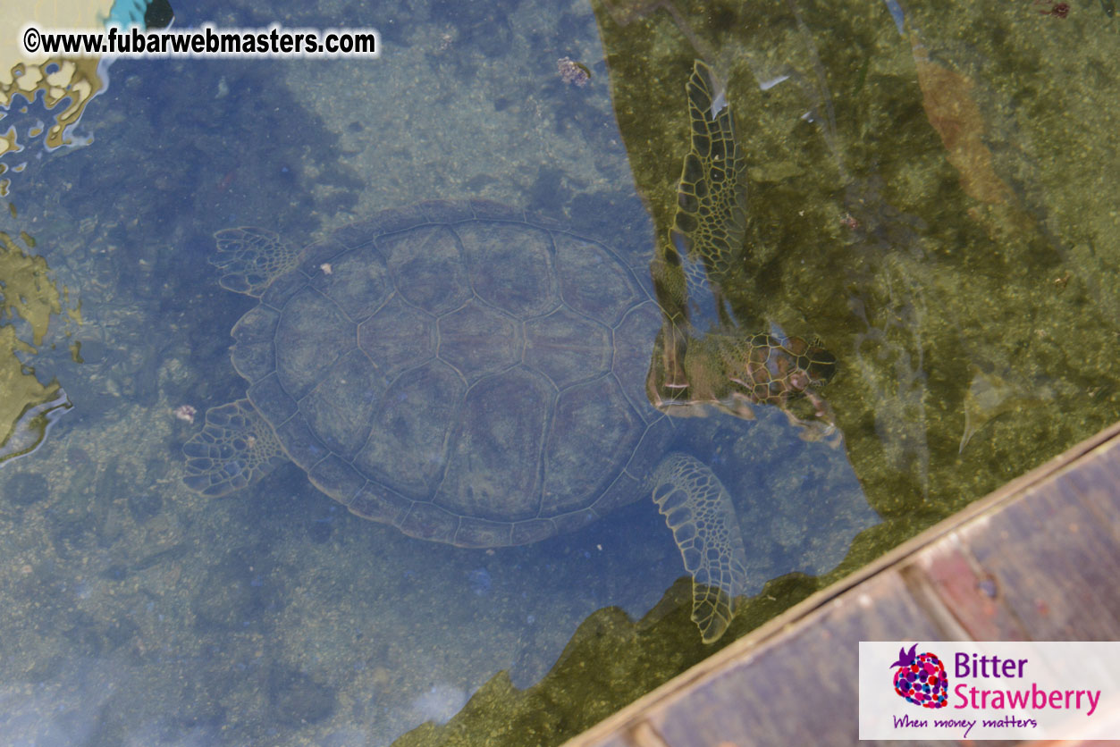 Sailing and Snorkeling Adventure