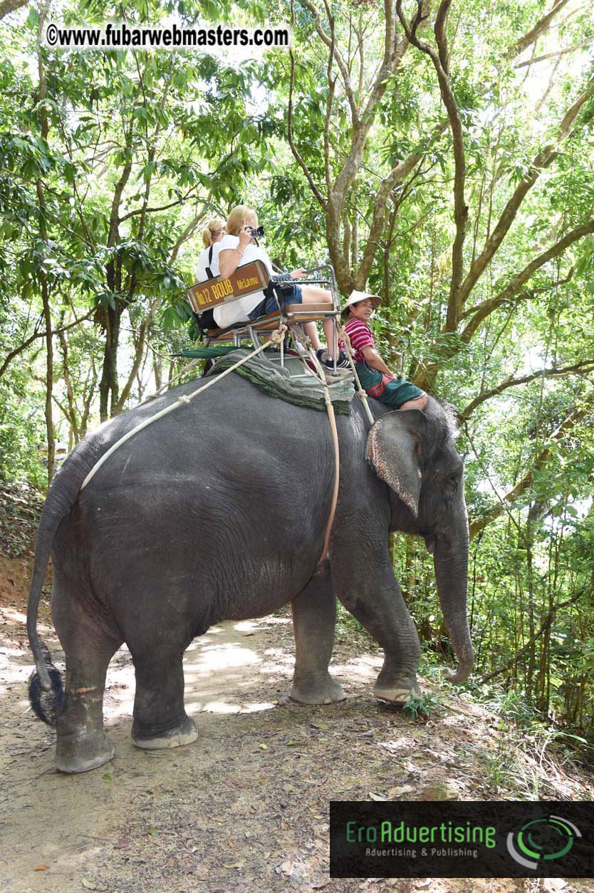 Elephant Safari 
