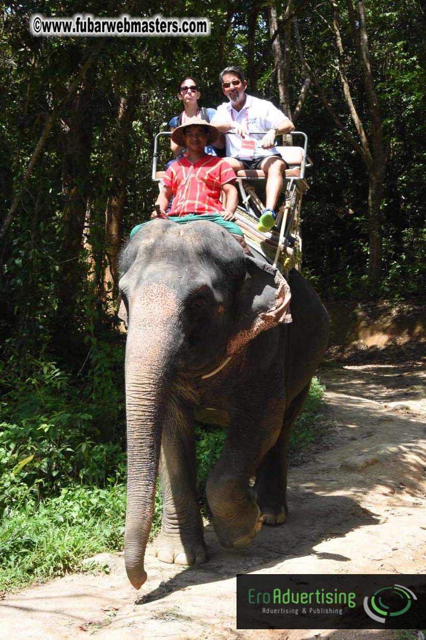 Elephant Safari 