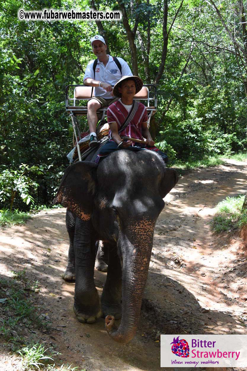 Elephant Safari 