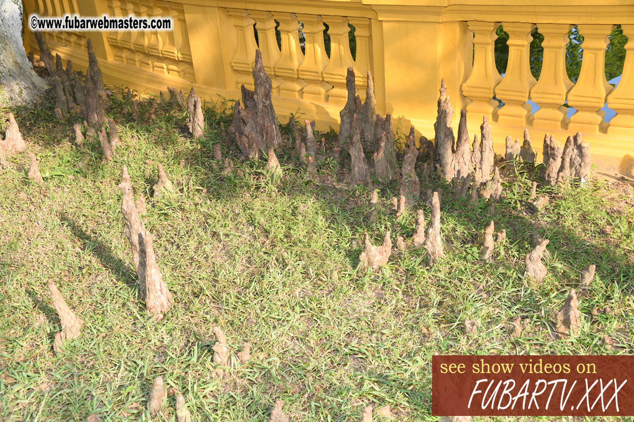 Ho Chi Minhs Vestige in the Presidential Palace