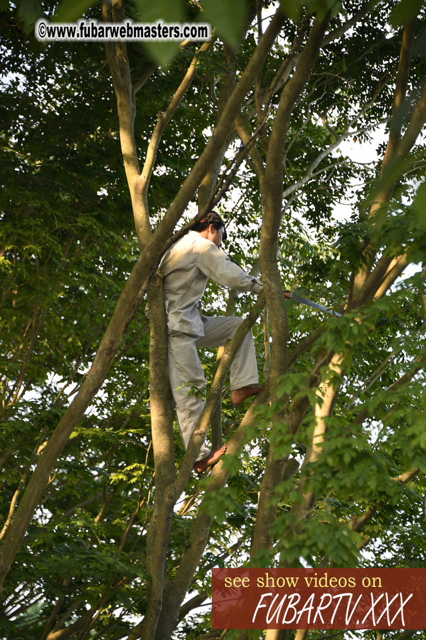 Ho Chi Minhs Vestige in the Presidential Palace