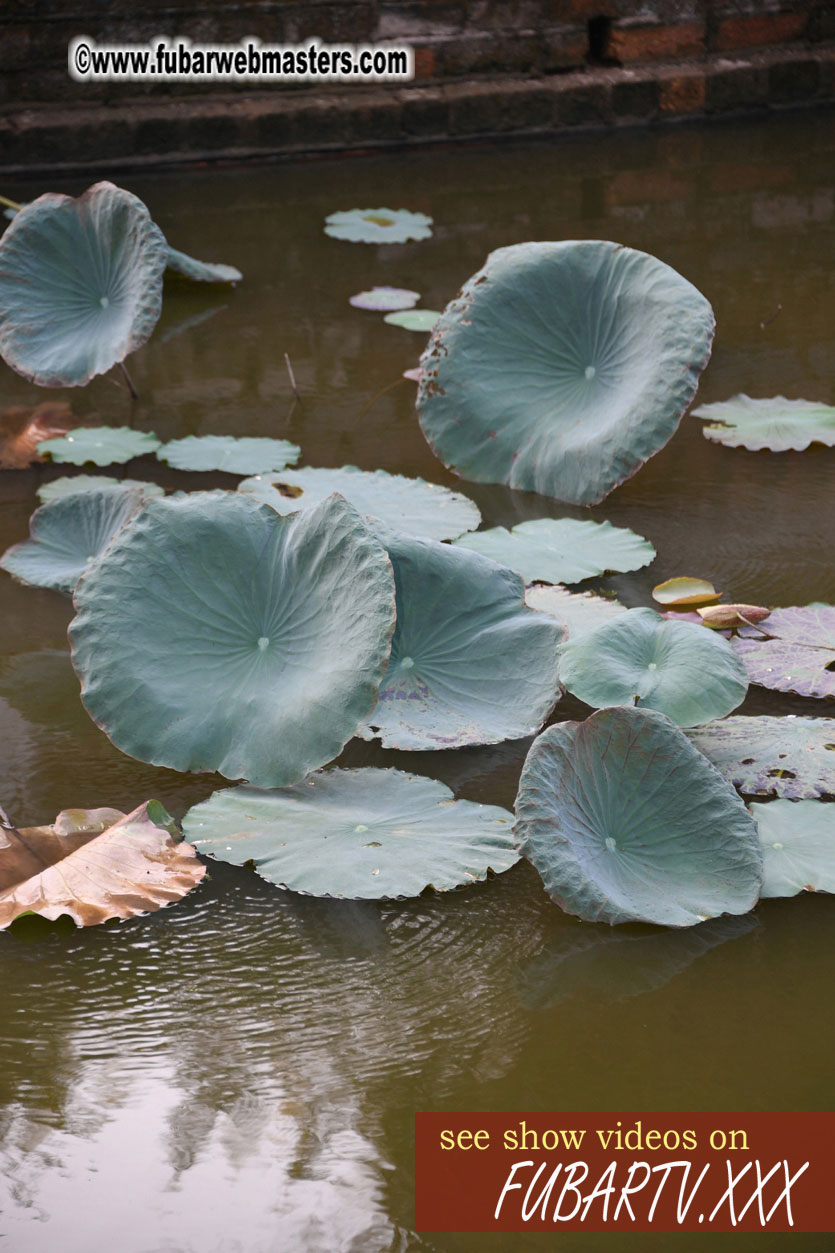 Getting to know Hanoi