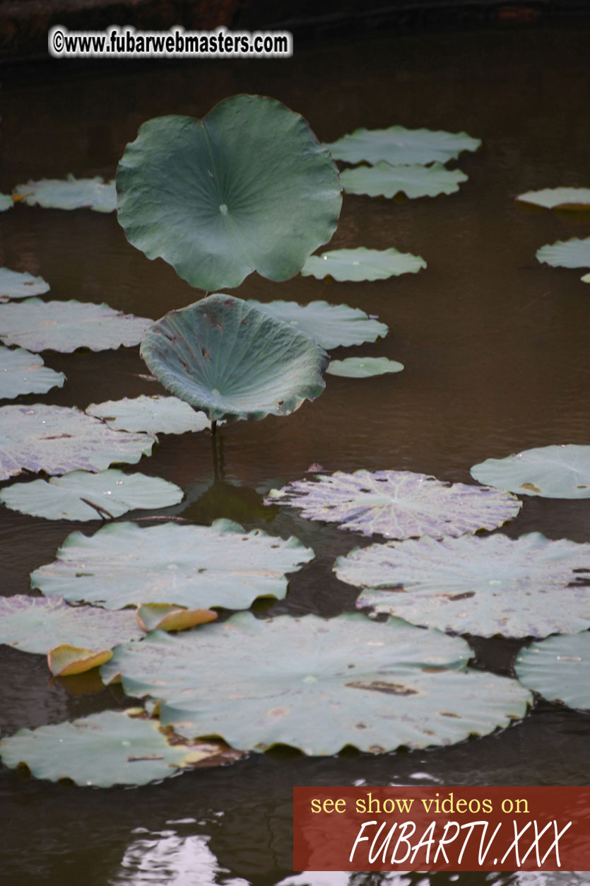 Getting to know Hanoi