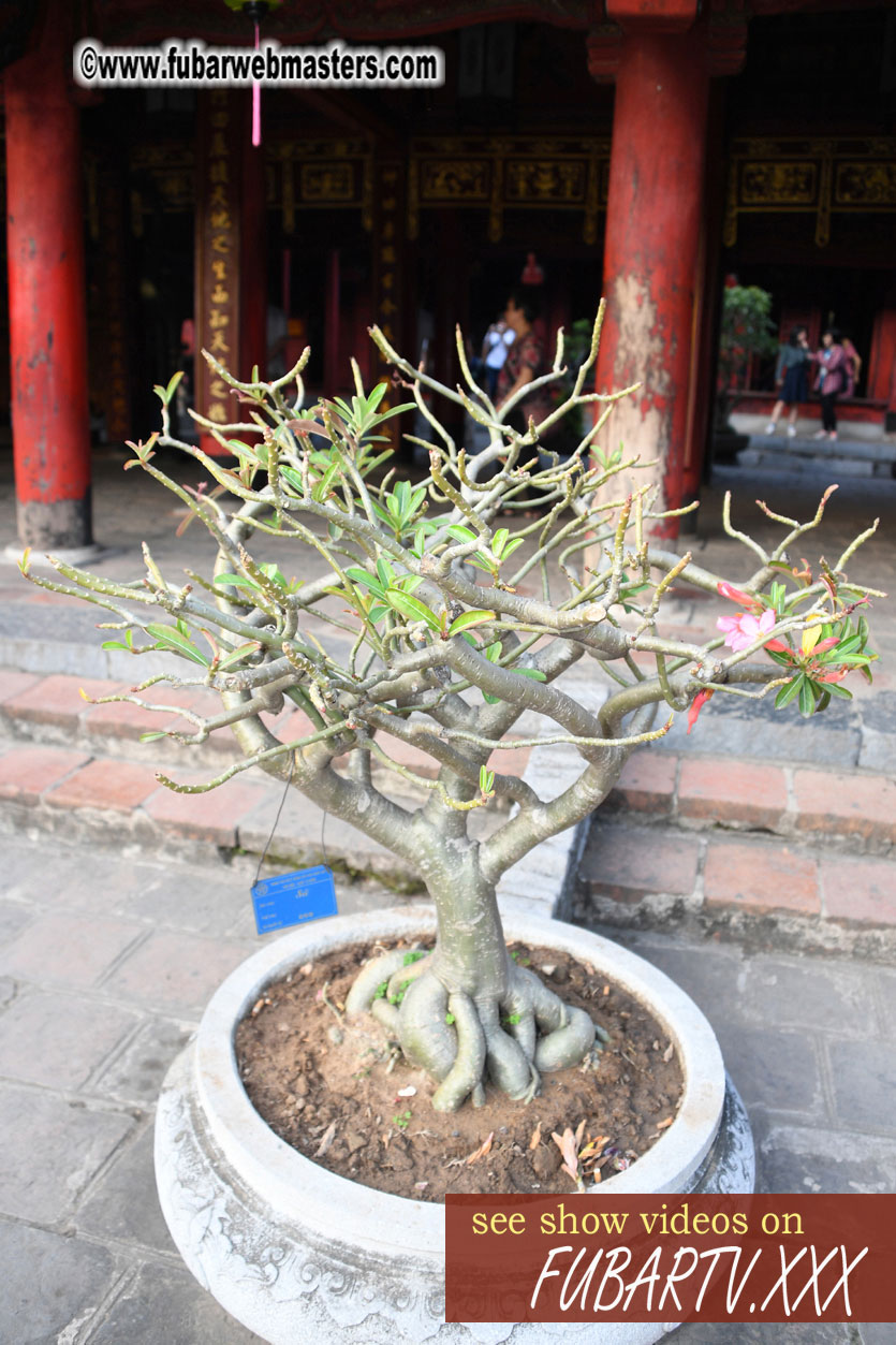 Getting to know Hanoi