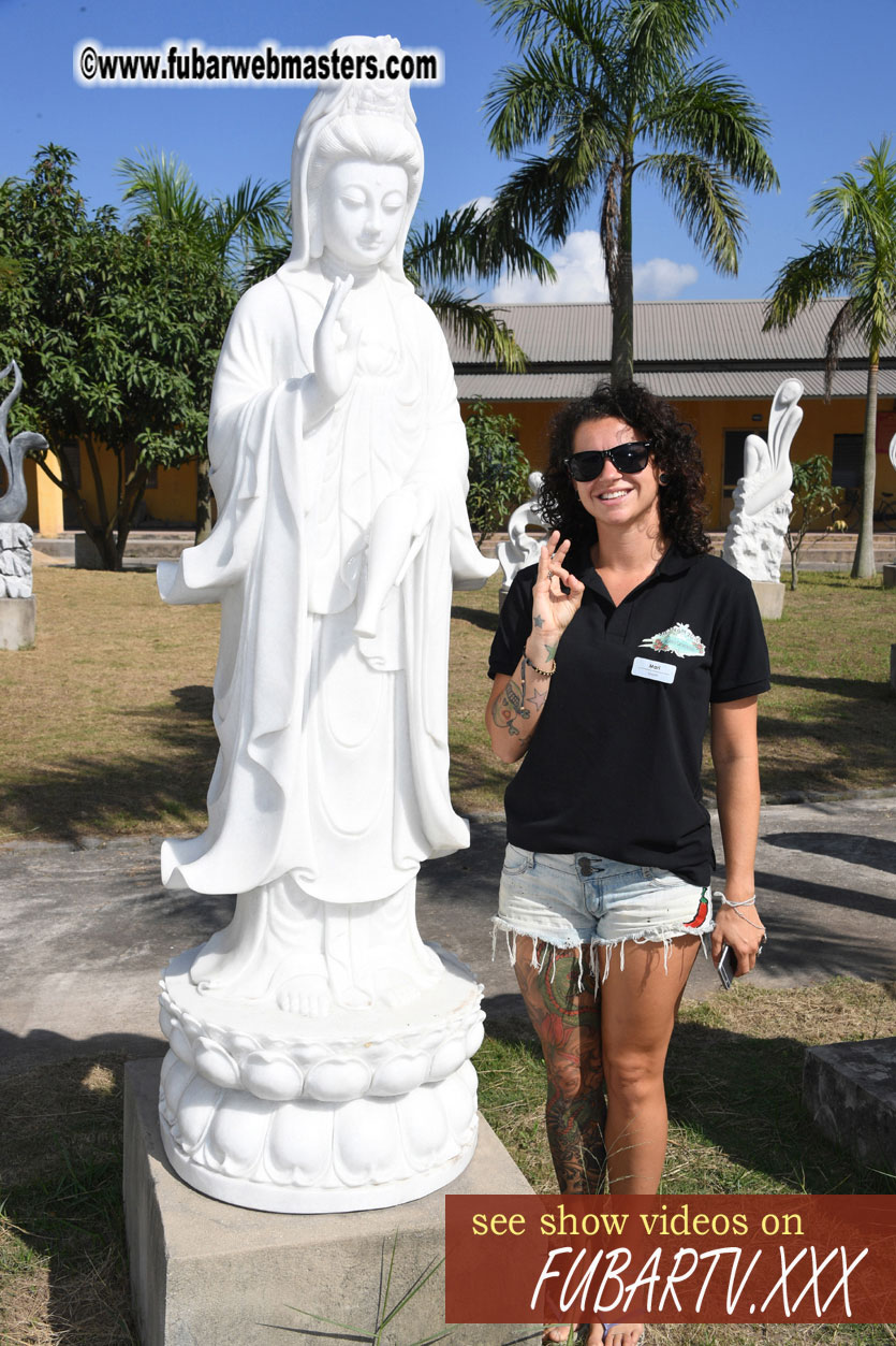 Trip to Golden Cruise