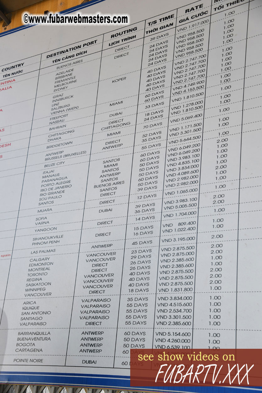 Trip to Golden Cruise