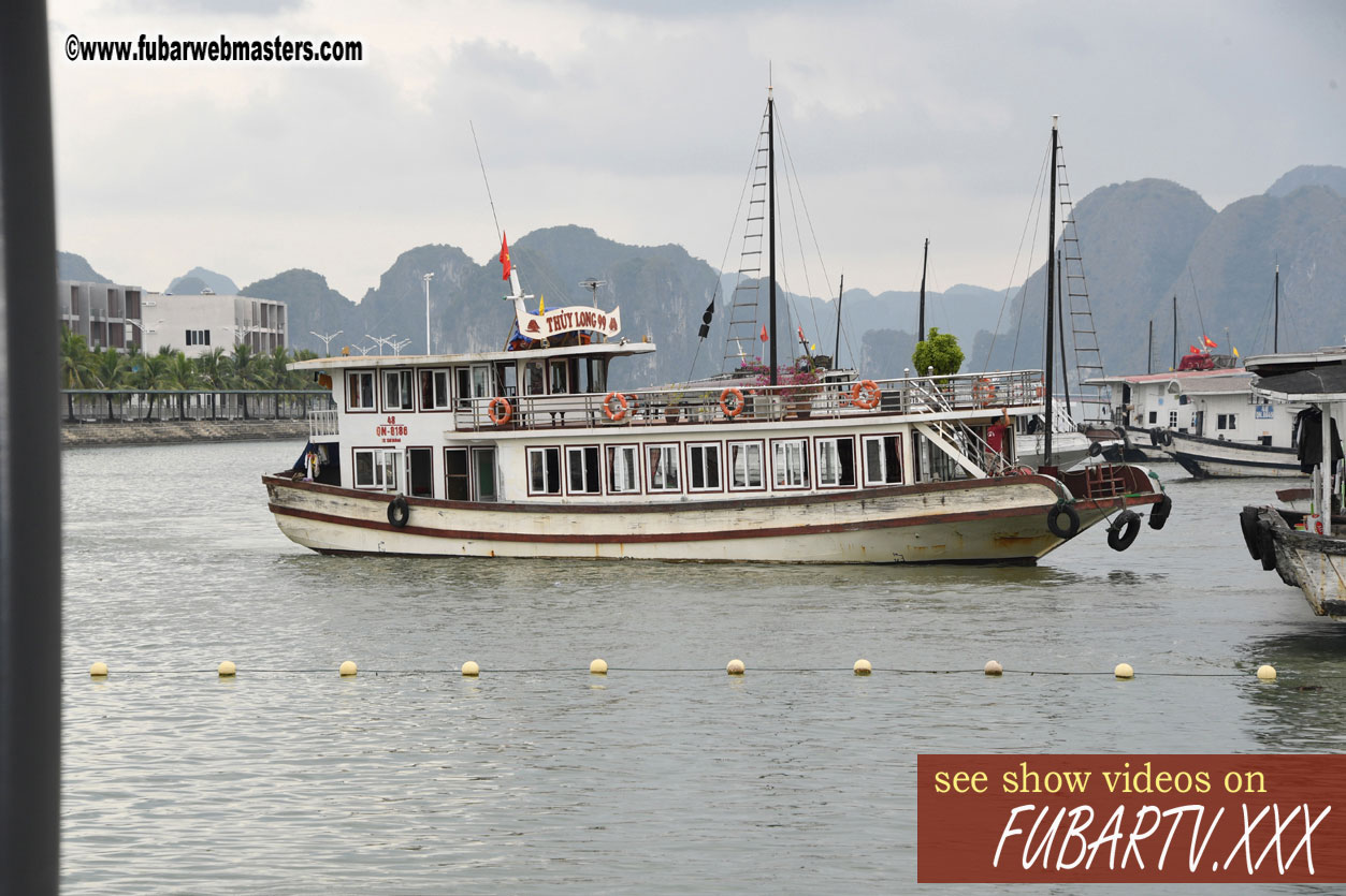 Trip to Golden Cruise