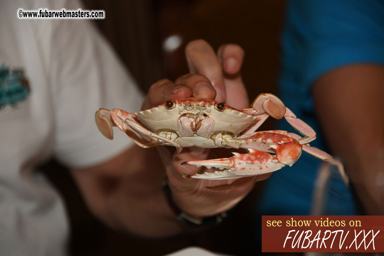 Supper on the Golden Cruise
