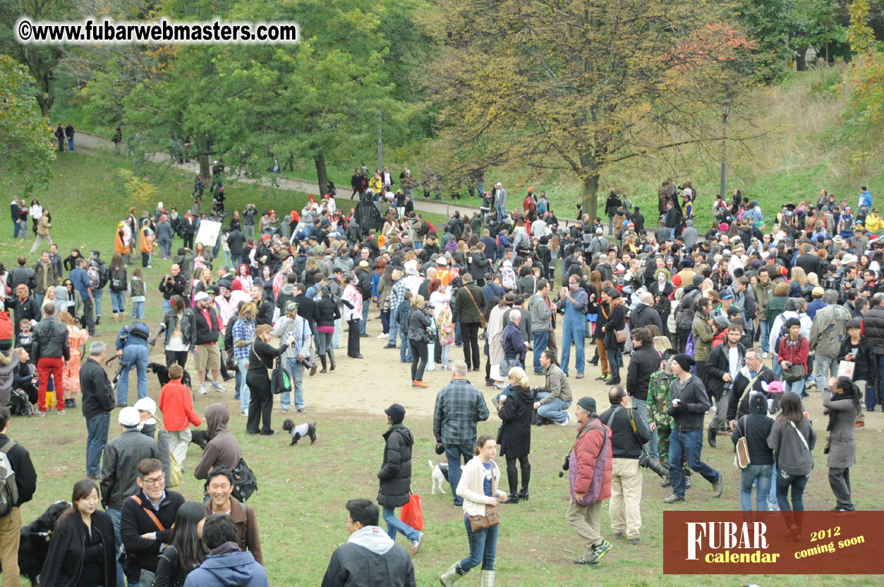 9th Annual Zombie Walk