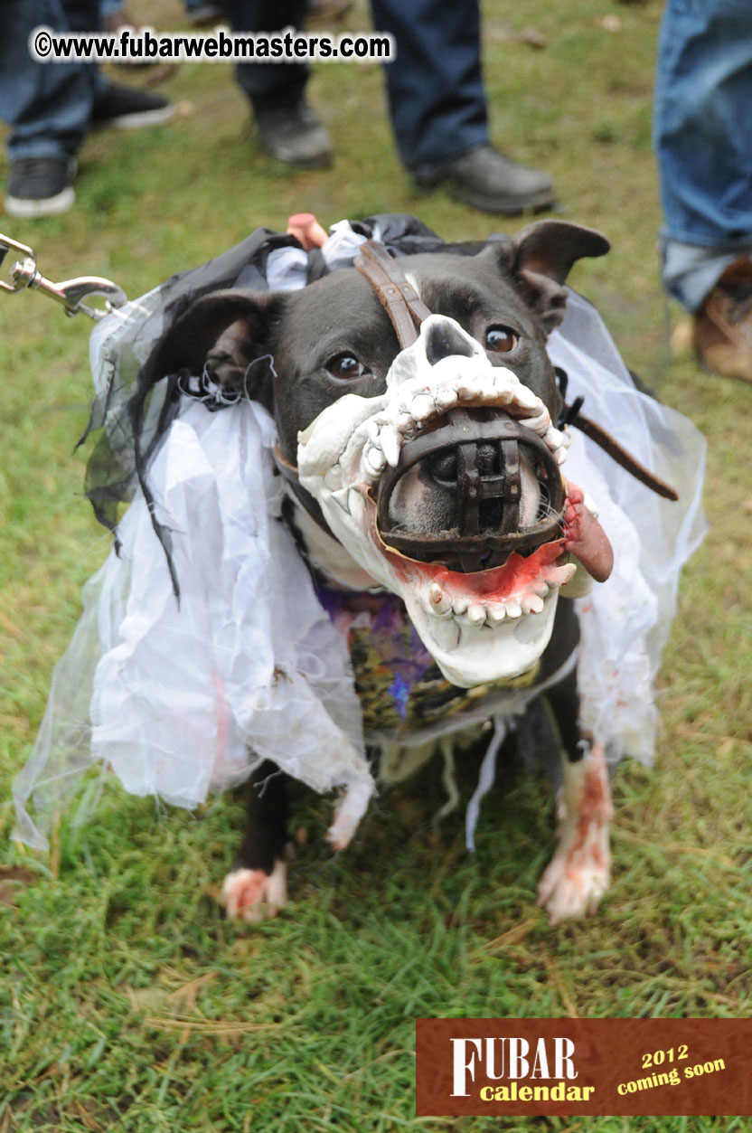 9th Annual Zombie Walk