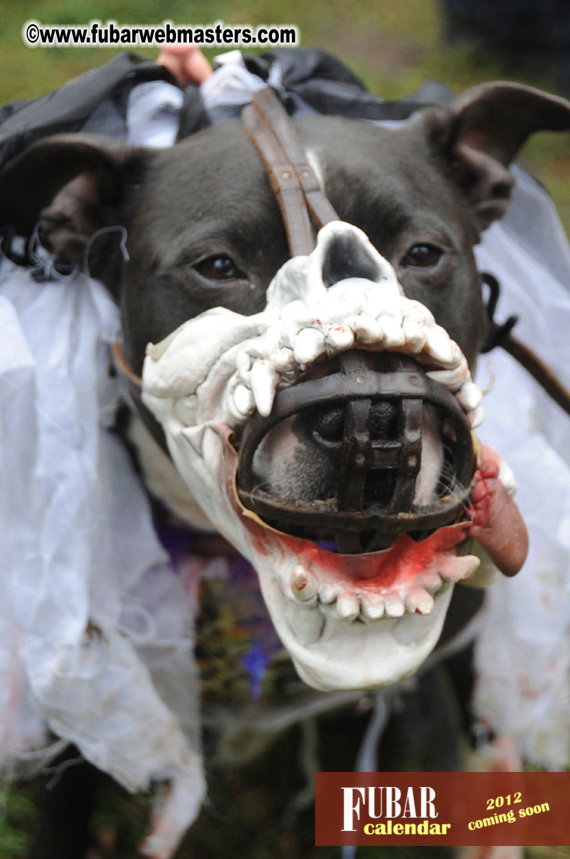 9th Annual Zombie Walk