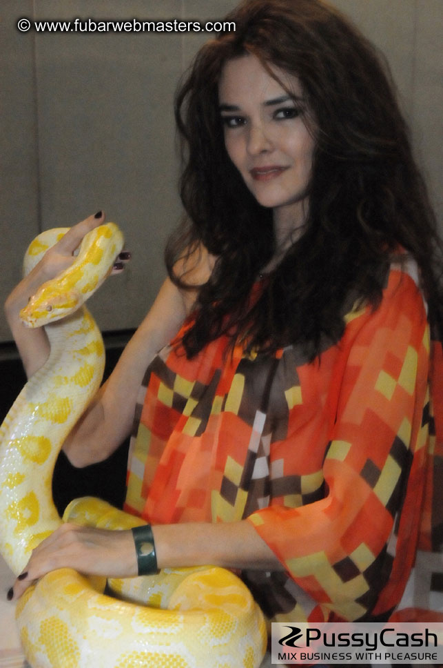 AVN Adult Entertainment Expo