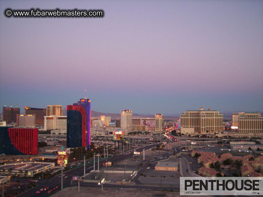 Maleflixxx Cock&Tail