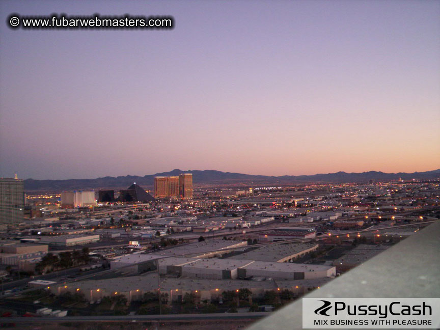 Maleflixxx Cock&Tail