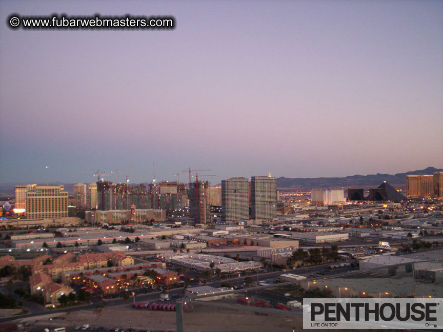 Maleflixxx Cock&Tail