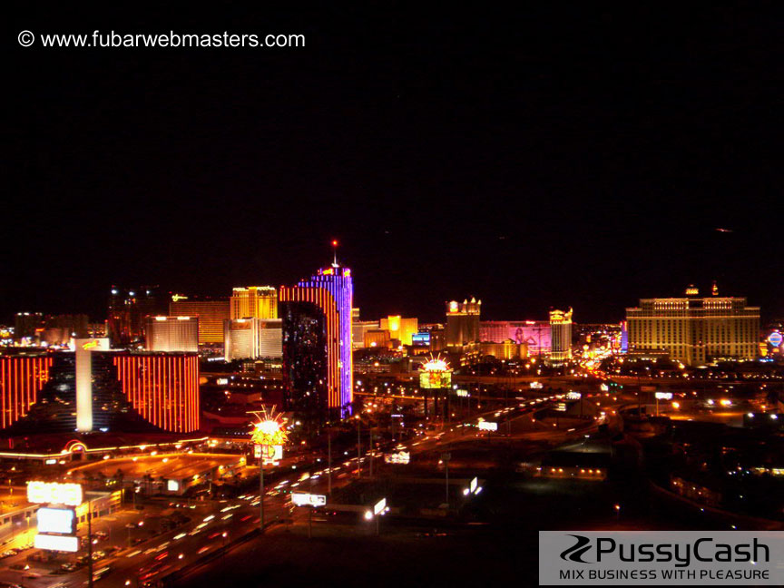 Maleflixxx Cock&Tail