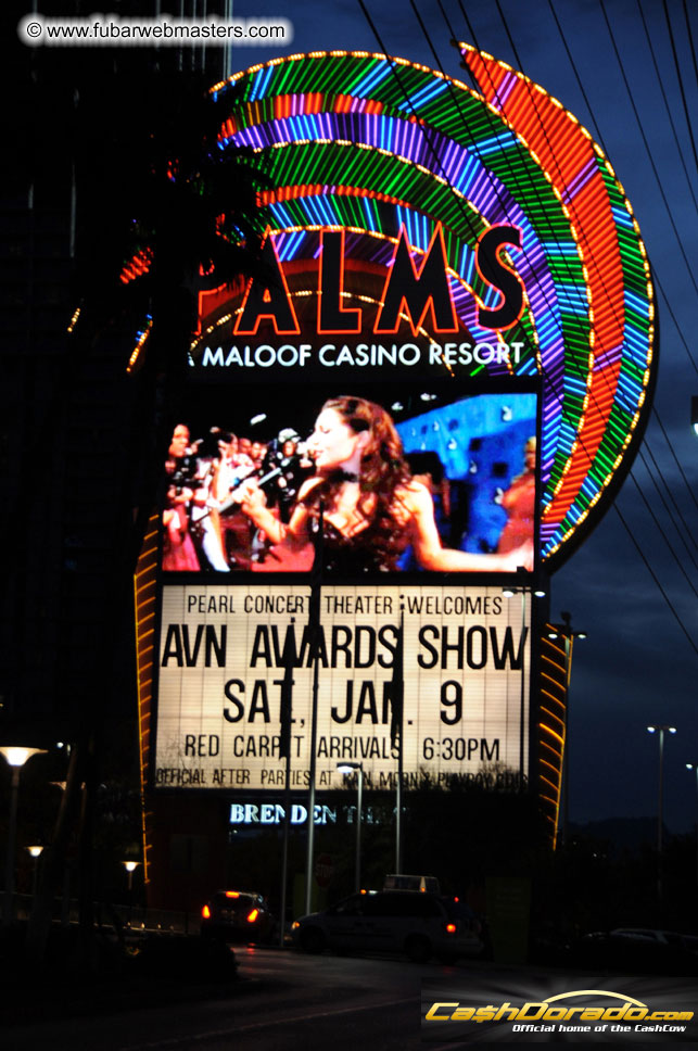 AVN Awards Red Carpet