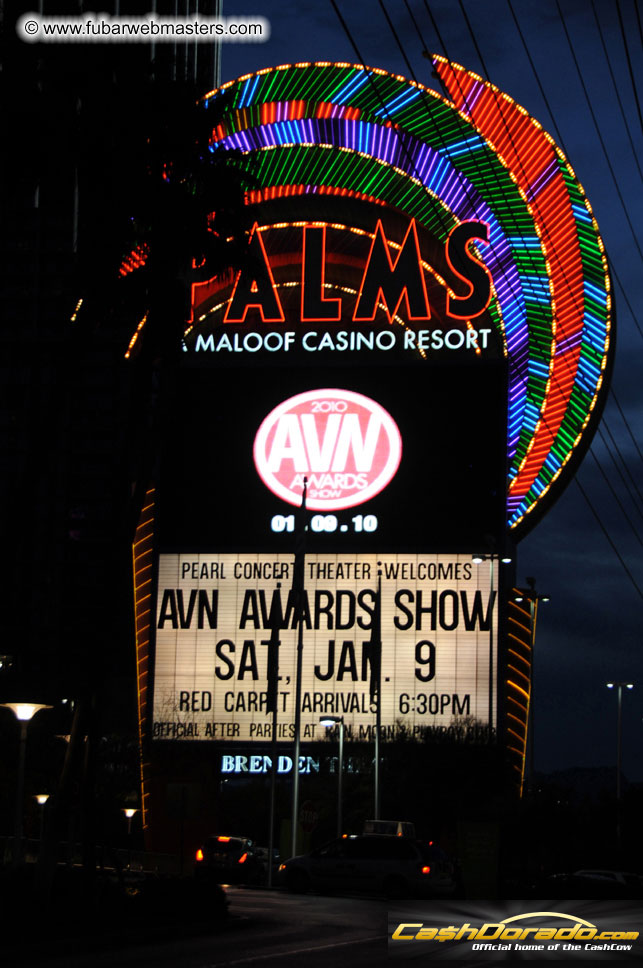 AVN Awards Red Carpet