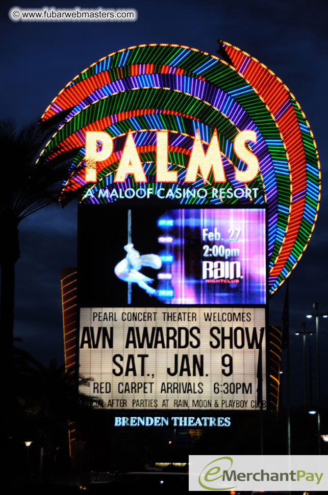 AVN Awards Red Carpet