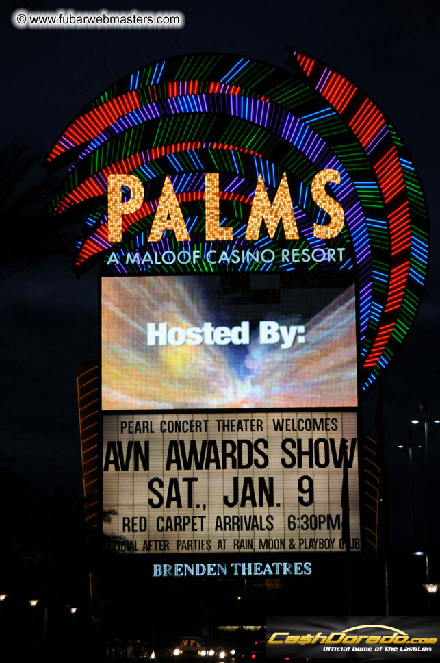 AVN Awards Red Carpet