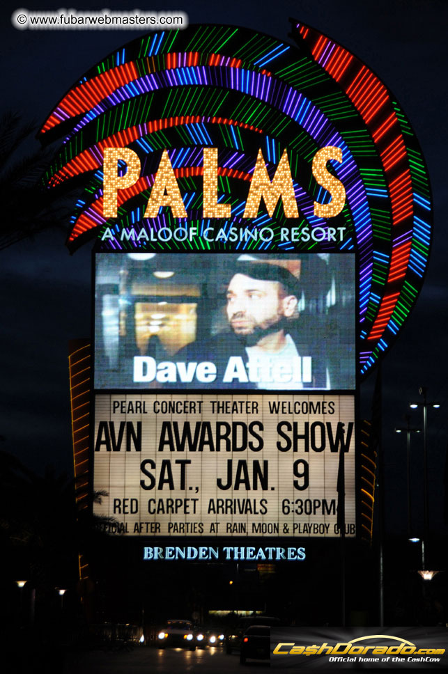 AVN Awards Red Carpet