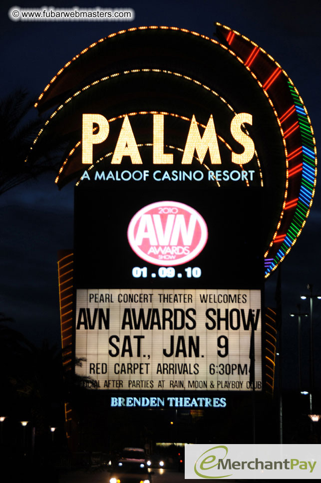 AVN Awards Red Carpet