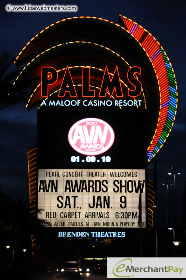 AVN Awards Red Carpet